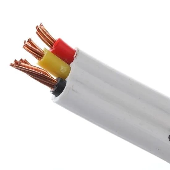 Twin And Earth Thermoplastic Sheathed Building SAA Electric Flat TPS Cable